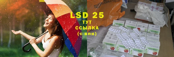 мяу мяу кристалл Богданович