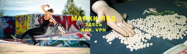 mdpv Богородицк