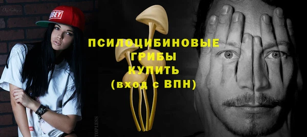 мяу мяу кристалл Богданович