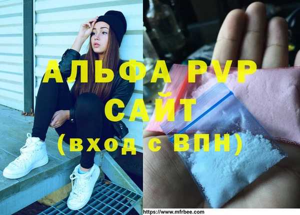мяу мяу кристалл Богданович