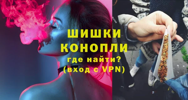 mdpv Богородицк